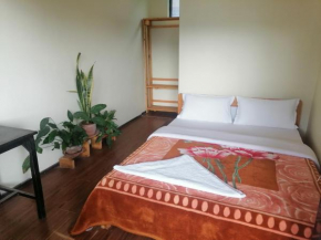 Chill garden guest house and Hostel